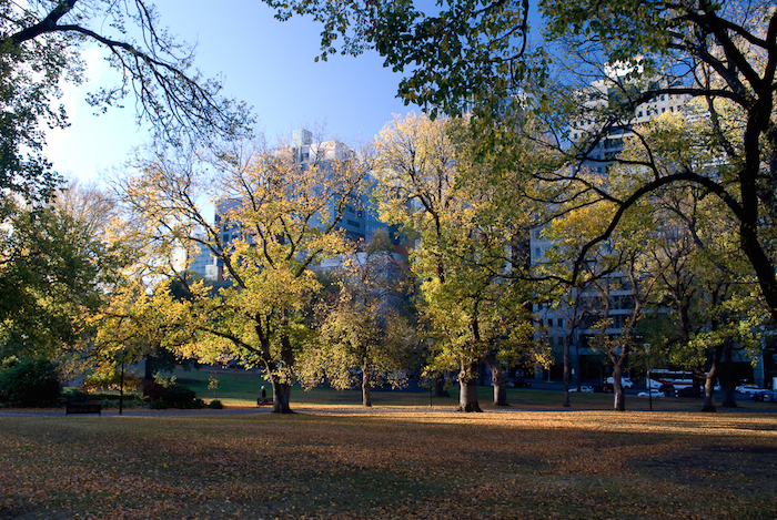 Flagstaff Gardens